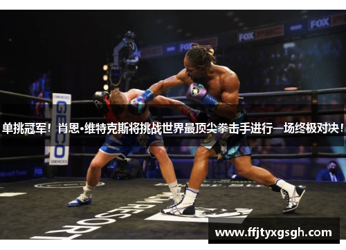 单挑冠军！肖恩·维特克斯将挑战世界最顶尖拳击手进行一场终极对决！