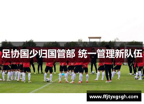 足协国少归国管部 统一管理新队伍